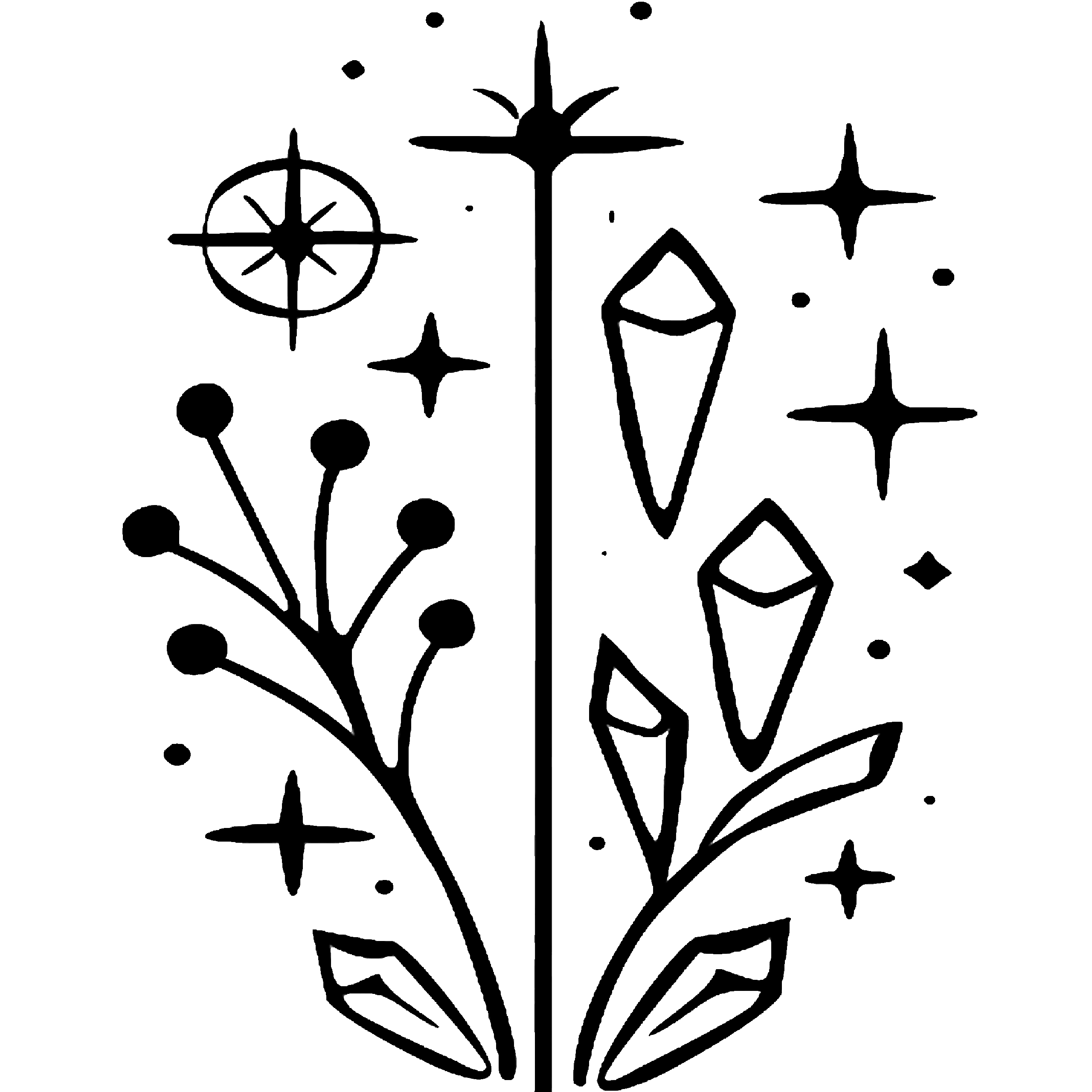 mystarrysky.com