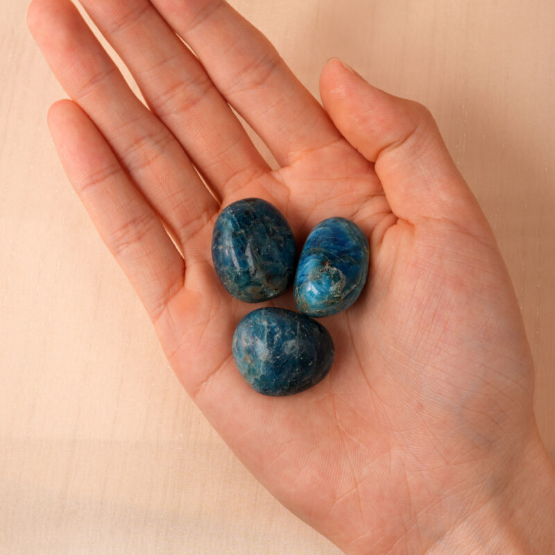 Hand holding Natural Blue Apatite Tumbled Stone from polished stone set showing texture and color