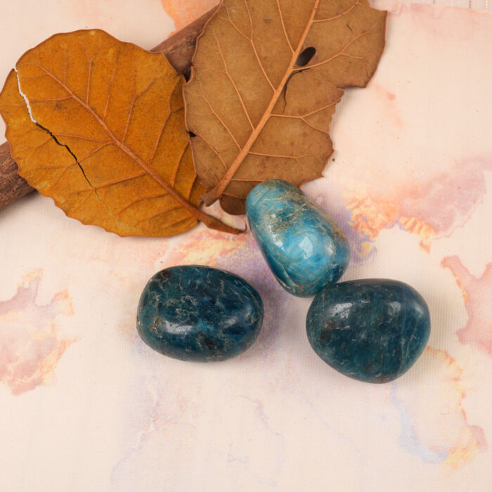 Blue Apatite Tumbled Stone Set displayed on natural wood background for meditation and healing