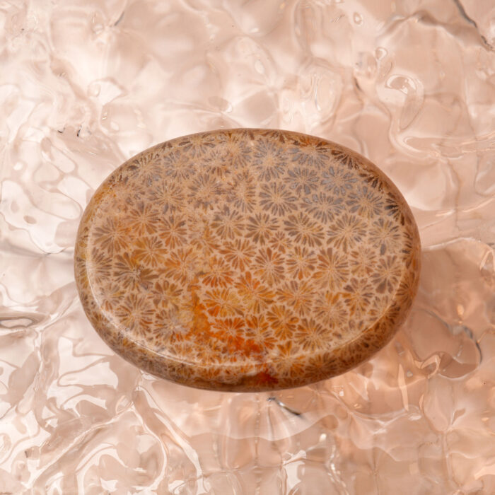 Chrysanthemum stone worry stone with flower-like pattern