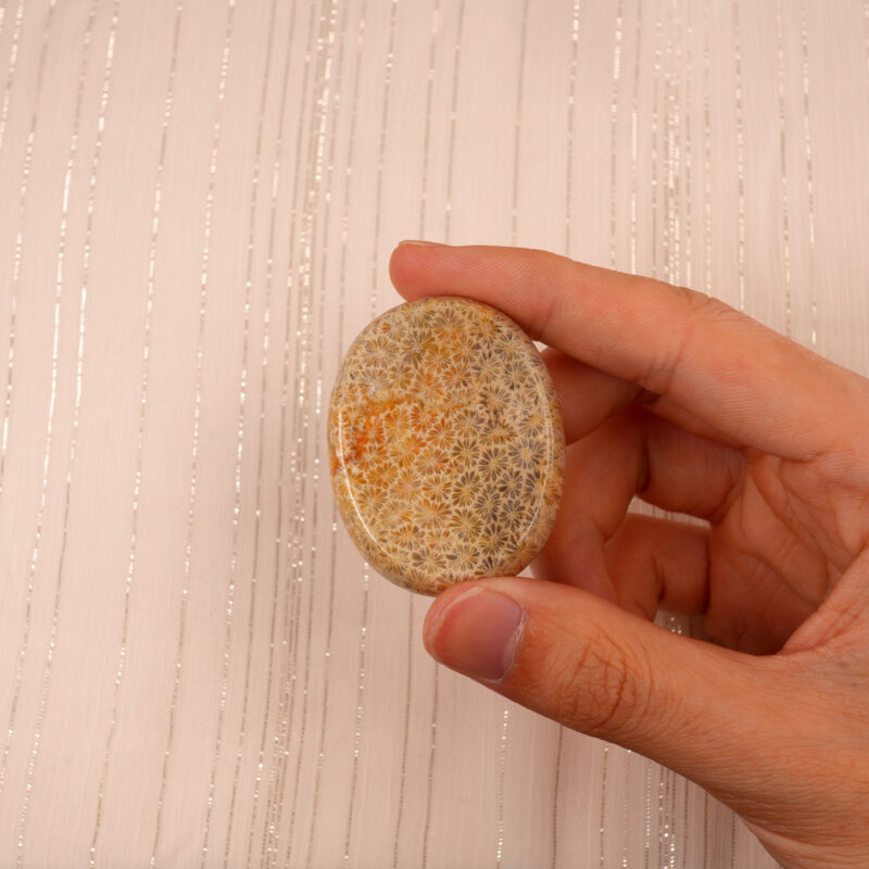 Hand holding chrysanthemum stone worry crystal, displaying its floral design and texture